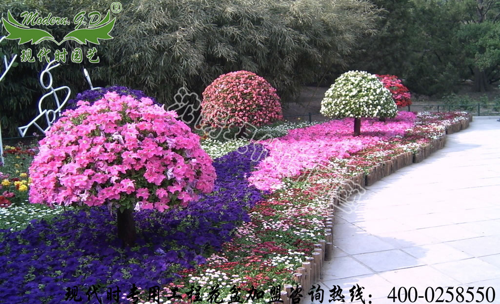 ϵ