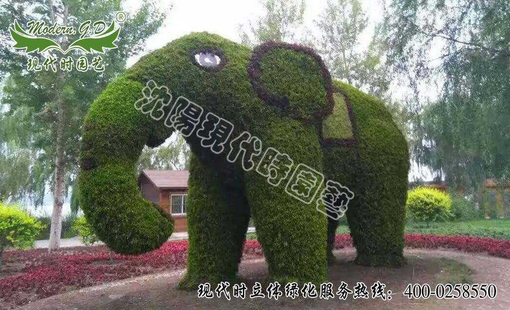 ɫݵ
